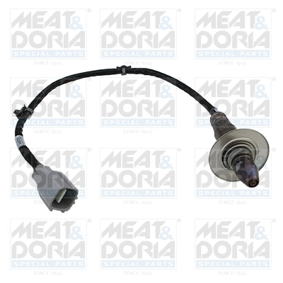 Oxygen Sensor